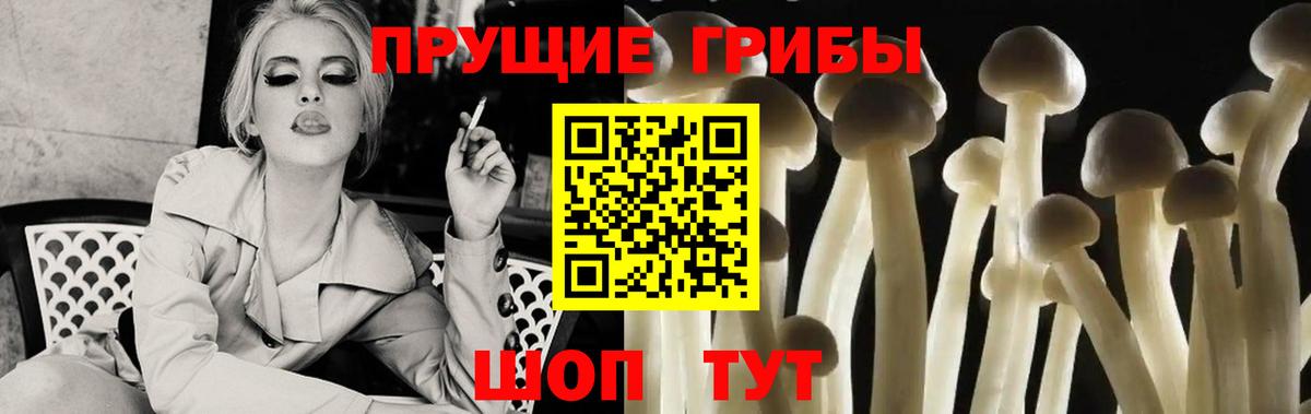 Галлюциногенные грибы мухоморы Курчатов